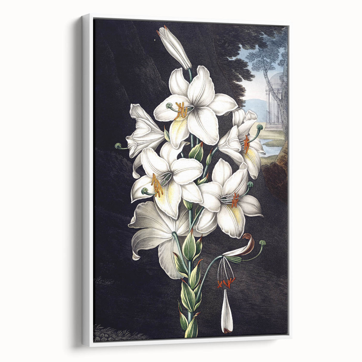 Framed botanical wall art featuring a vibrant orchid design on canvas, set against a white background, showcasing a side view with elegant details and textures.