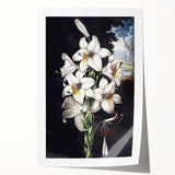 Botanical wall art print featuring a vibrant orchid design in rich colors, rolled for easy display, ideal for adding elegance to home decor.
