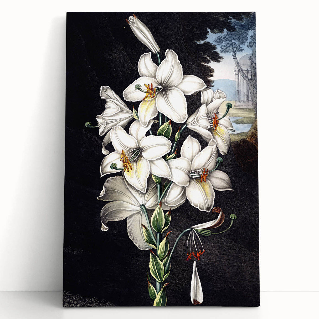 Stretched canvas wall art showcasing a vibrant botanical orchid design with intricate details, perfect for home decor or office spaces, emphasizing nature's beauty.