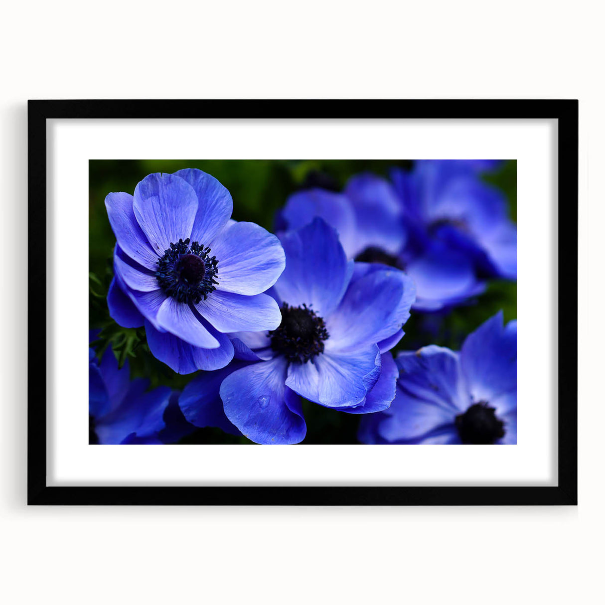 Elegant botanical wall art featuring a detailed pansy design in a black frame with a mat, showcasing vibrant colors and intricate floral details, perfect for home decor.