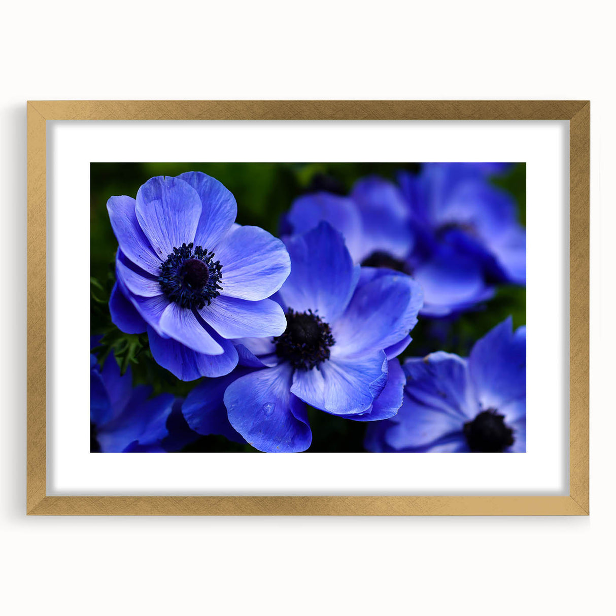 Botanical wall art featuring a beautiful gold-framed pansy design with a mat, showcasing vibrant colors and intricate floral details, perfect for home decor.