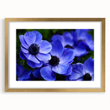 Botanical wall art featuring a beautiful gold-framed pansy design with a mat, showcasing vibrant colors and intricate floral details, perfect for home decor.