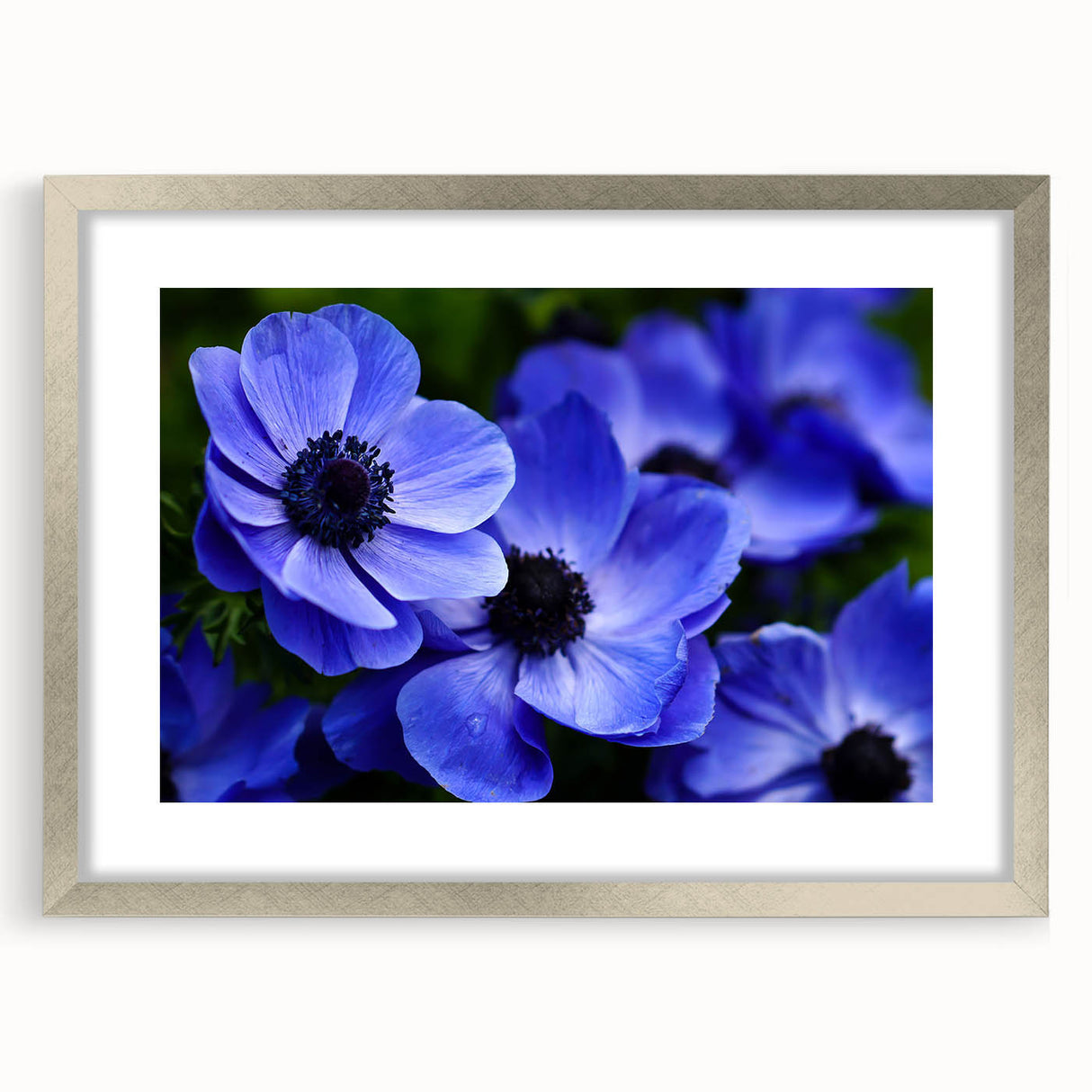 Framed botanical wall art featuring a vibrant pansy design with a silver mat and frame, perfect for adding a touch of nature-inspired elegance to home decor.