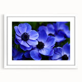 Botanical wall art design featuring a vibrant pansy illustration in a white frame with a mat, showcasing intricate details and colors, perfect for home decor.