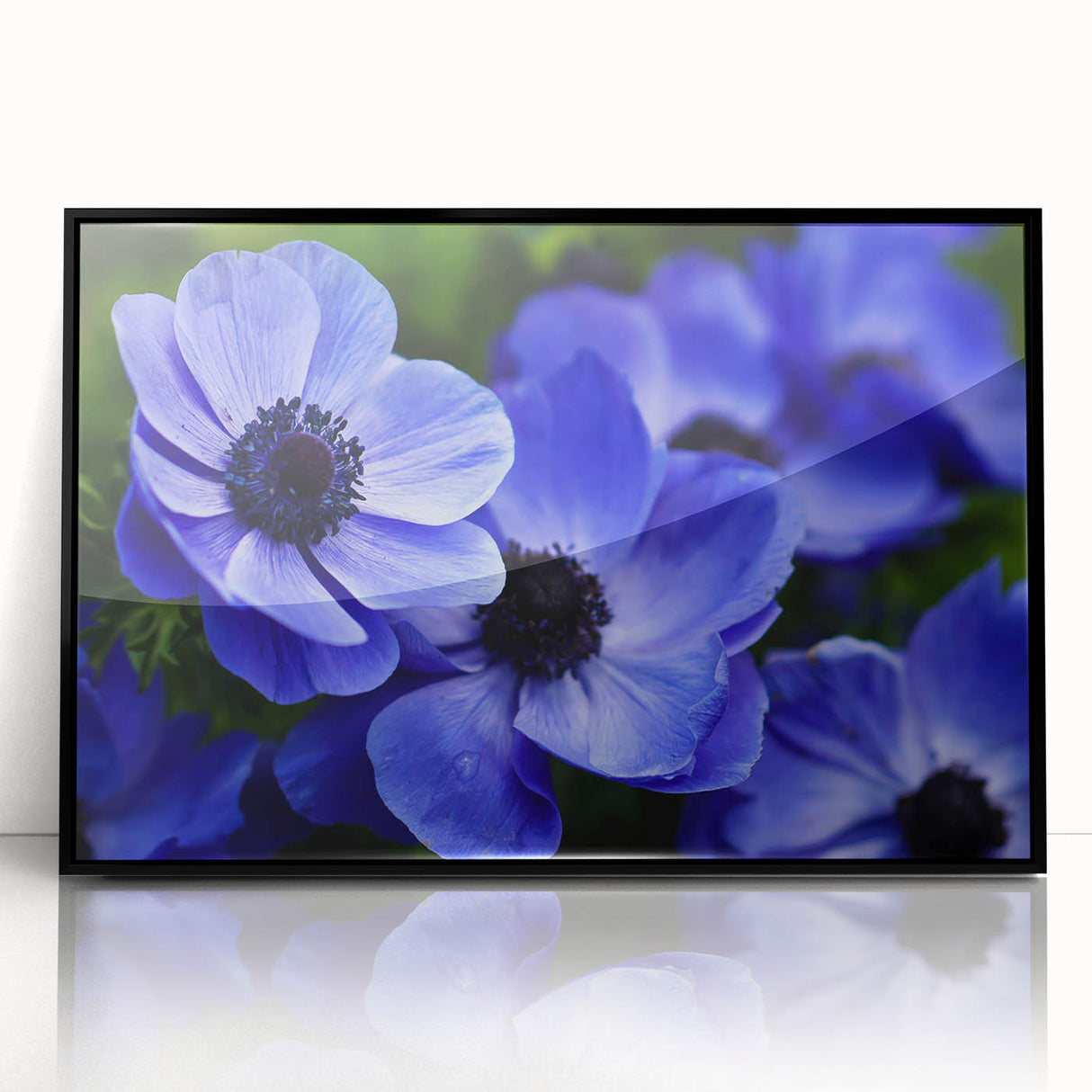 Framed wall art featuring a vibrant botanical pansy design on a black background, showcasing intricate floral details and rich colors, perfect for home decor.