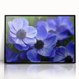 Framed wall art featuring a vibrant botanical pansy design on a black background, showcasing intricate floral details and rich colors, perfect for home decor.