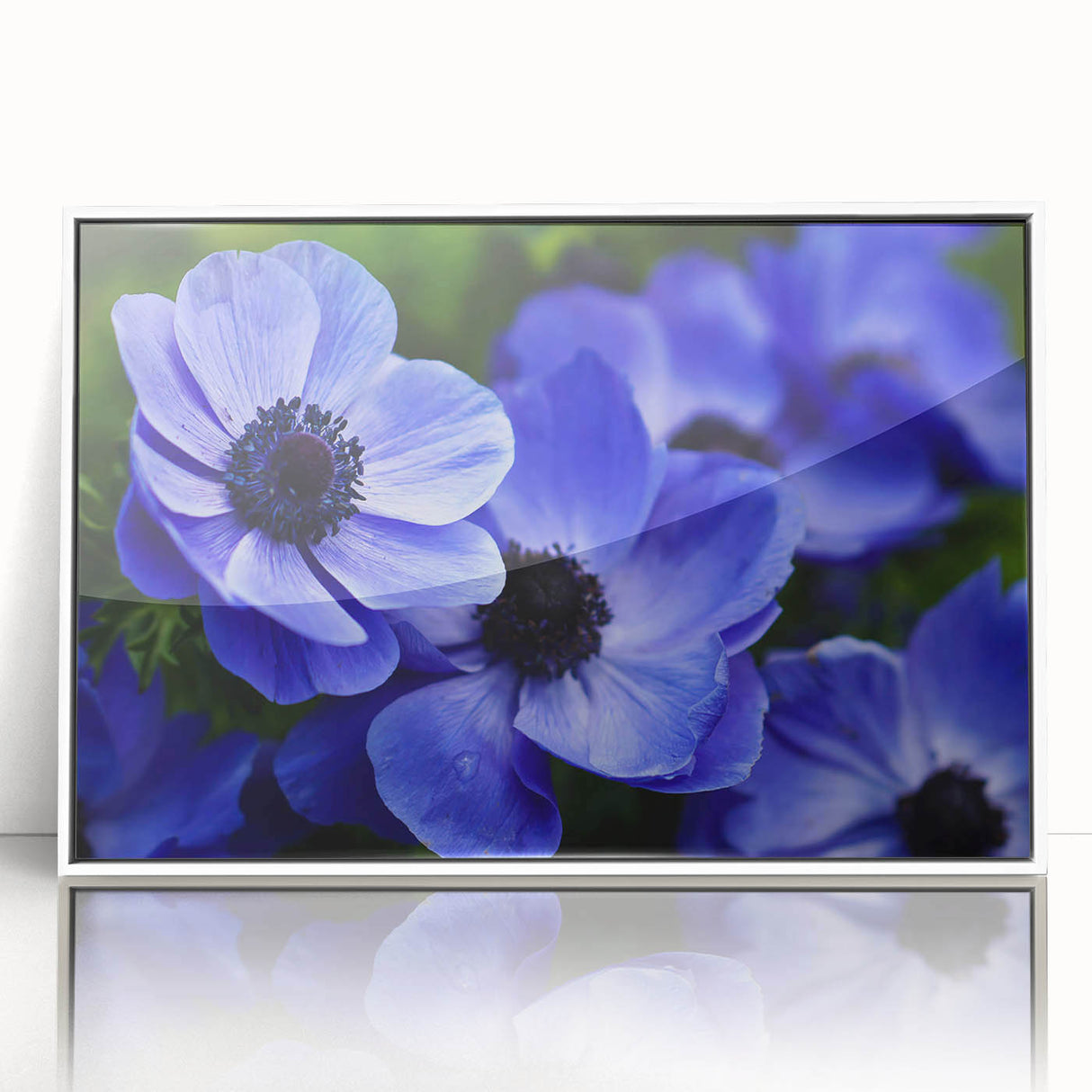 Framed wall art featuring a botanical pansy design in vibrant colors, presented in a sleek white frame, perfect for enhancing home decor with a floral touch.
