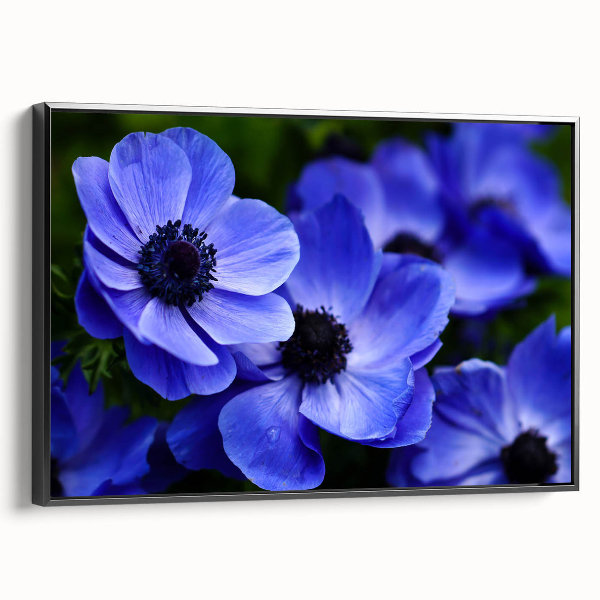 Framed botanical wall art featuring a colorful pansy design on a black background, showcasing vibrant hues and intricate floral details, ideal for home decor.