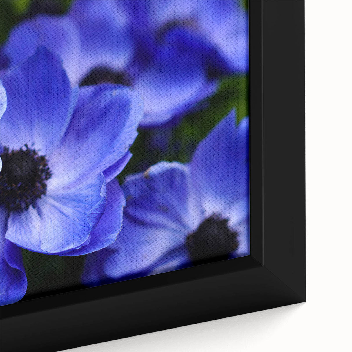 Close-up of a vibrant framed canvas wall art featuring a botanical pansy design, showcasing intricate floral details and rich colors, perfect for home decor.