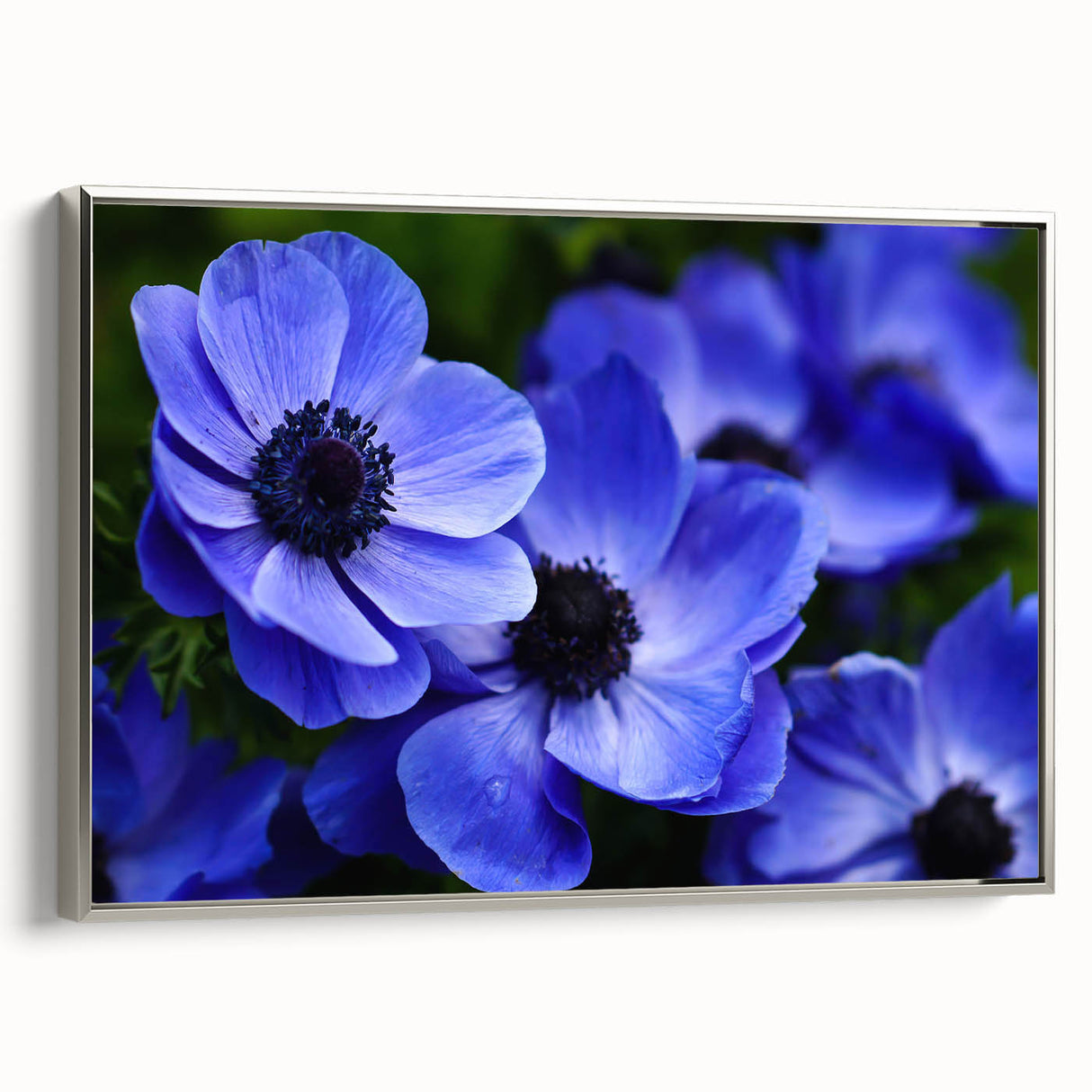 Framed canvas wall art showcasing a botanical pansy design with vibrant purple and yellow flowers, elegantly displayed in a silver frame, perfect for home decor.