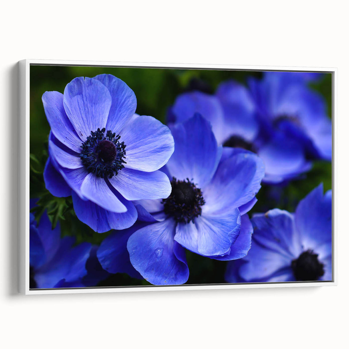 Framed botanical wall art featuring a vibrant pansy design on a white canvas, showcasing intricate details and colors, perfect for home decor enhancement.