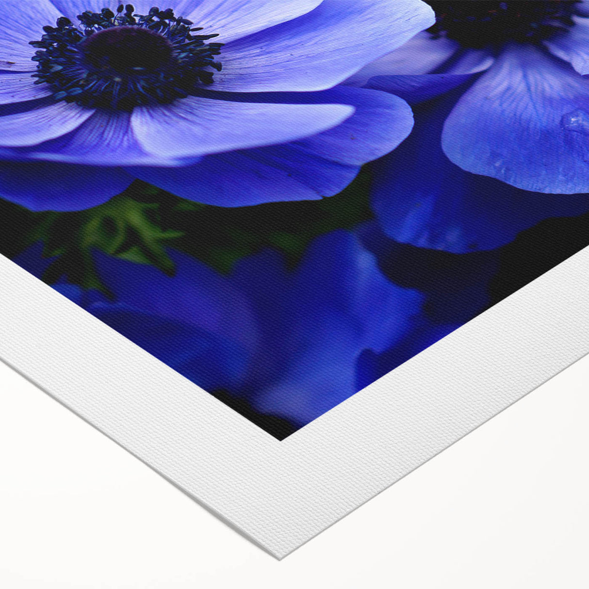 Vibrant botanical wall art featuring a detailed pansy design on rolled canvas, showcasing rich colors and intricate floral patterns, perfect for home decor.