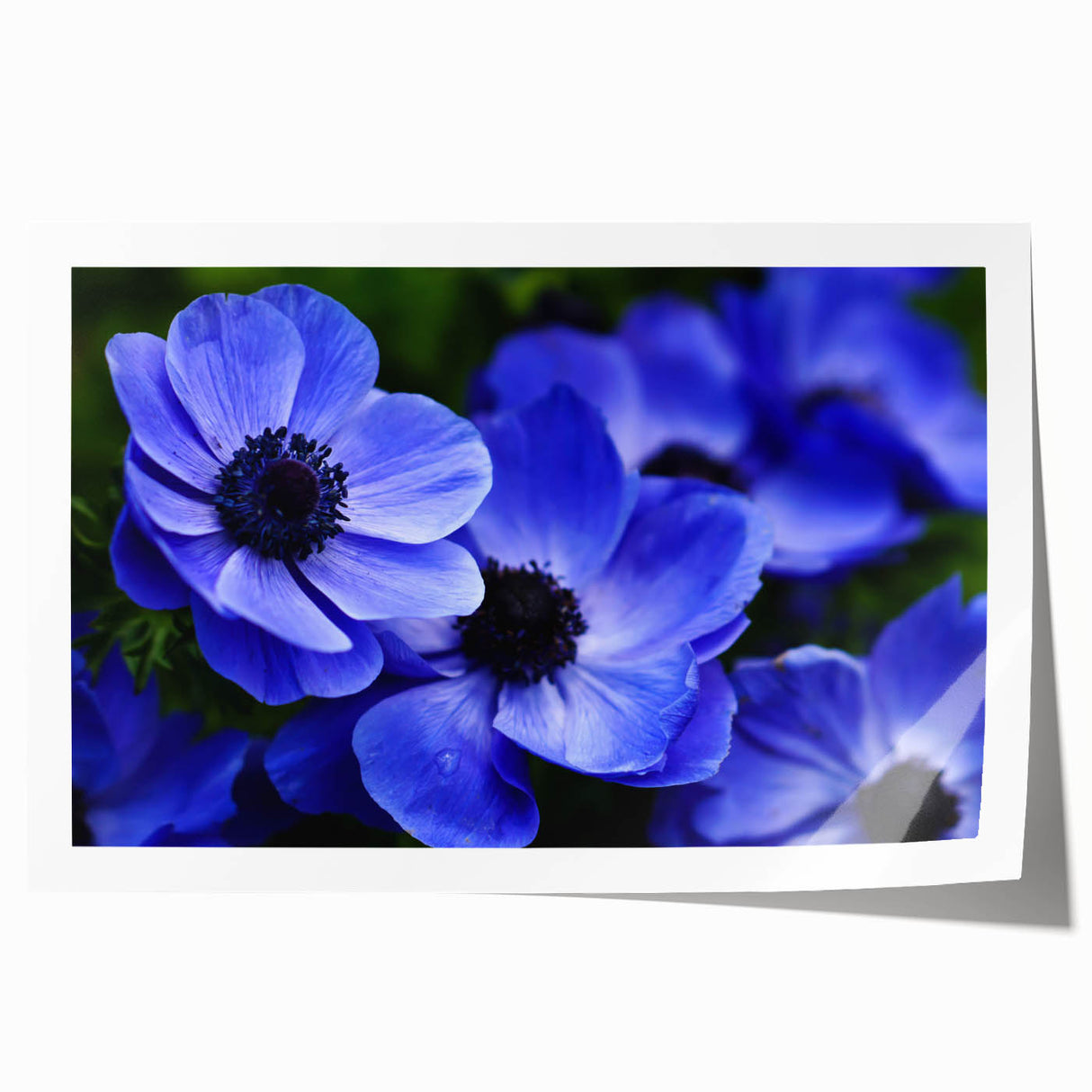 Vibrant botanical wall art print showcasing a delicate pansy design in rich purple and yellow hues, ideal for home decor or floral-themed interiors.
