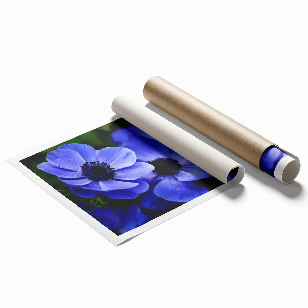 Vibrant botanical wall art print showcasing a colorful pansy design, rolled for easy transport and display, perfect for home decor enthusiasts.