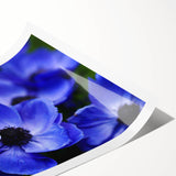 Botanical wall art print featuring a vibrant pansy design in rich purple and yellow hues, rolled and ready for framing, ideal for home decor enhancement.