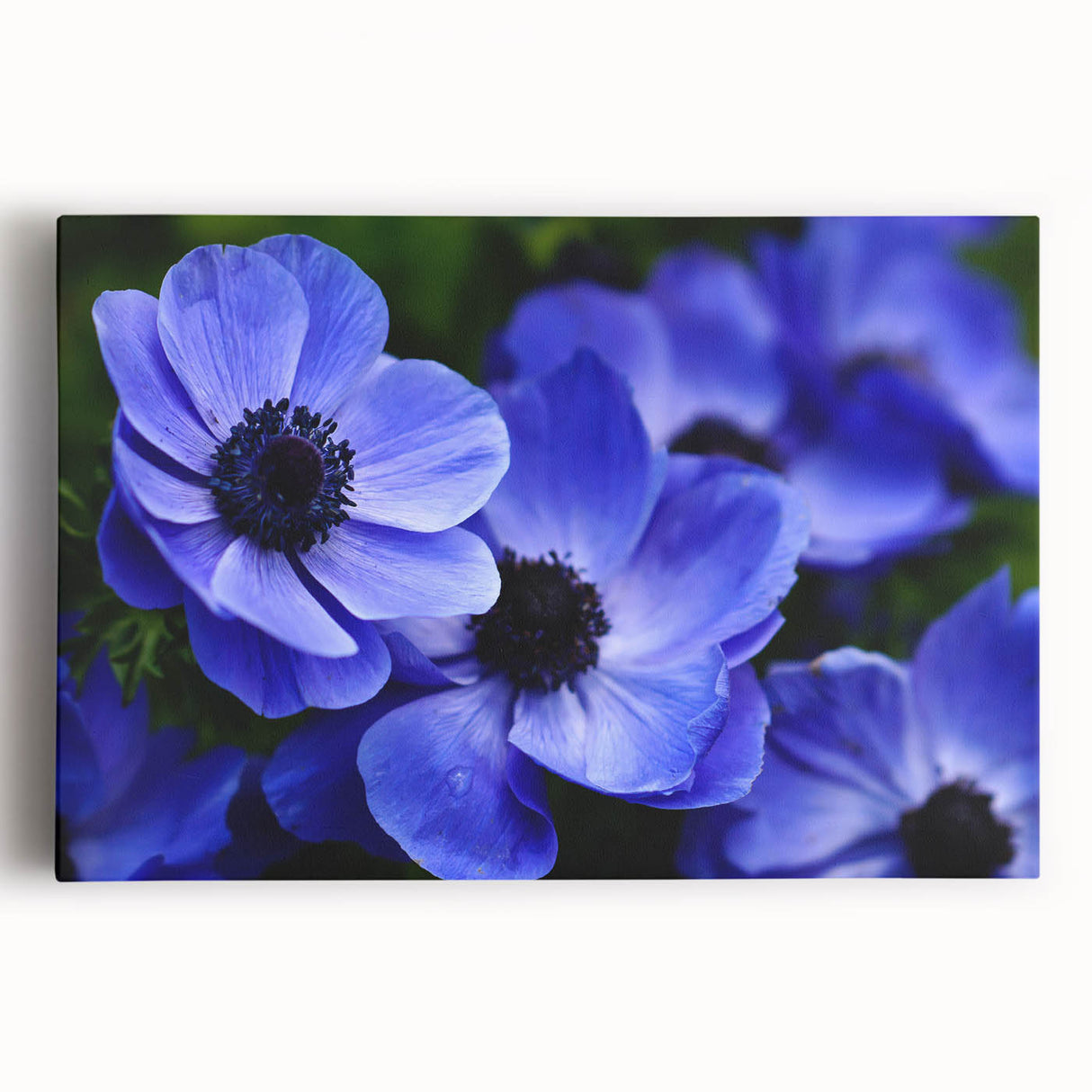 Vibrant stretched canvas wall art featuring a botanical pansy design in rich purple and yellow hues, ideal for adding a touch of nature-inspired elegance to any space.