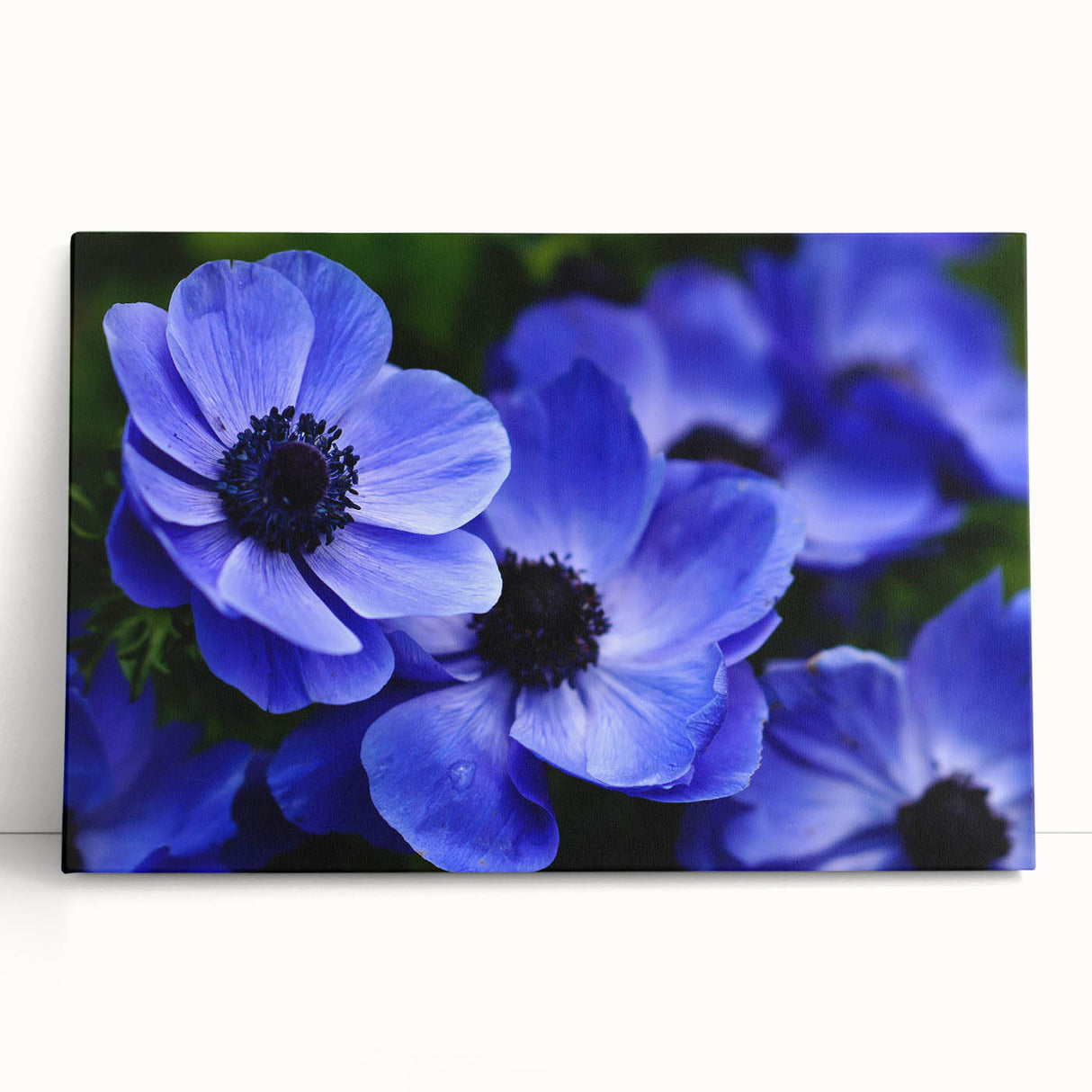 Botanical wall art featuring a vibrant pansy design on stretched canvas, showcasing rich colors and intricate floral details, perfect for home decor.
