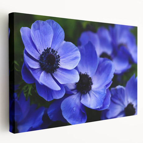 Stretched canvas wall art showcasing a botanical design of vibrant pansies, featuring rich colors and intricate details, ideal for home decor and floral enthusiasts.