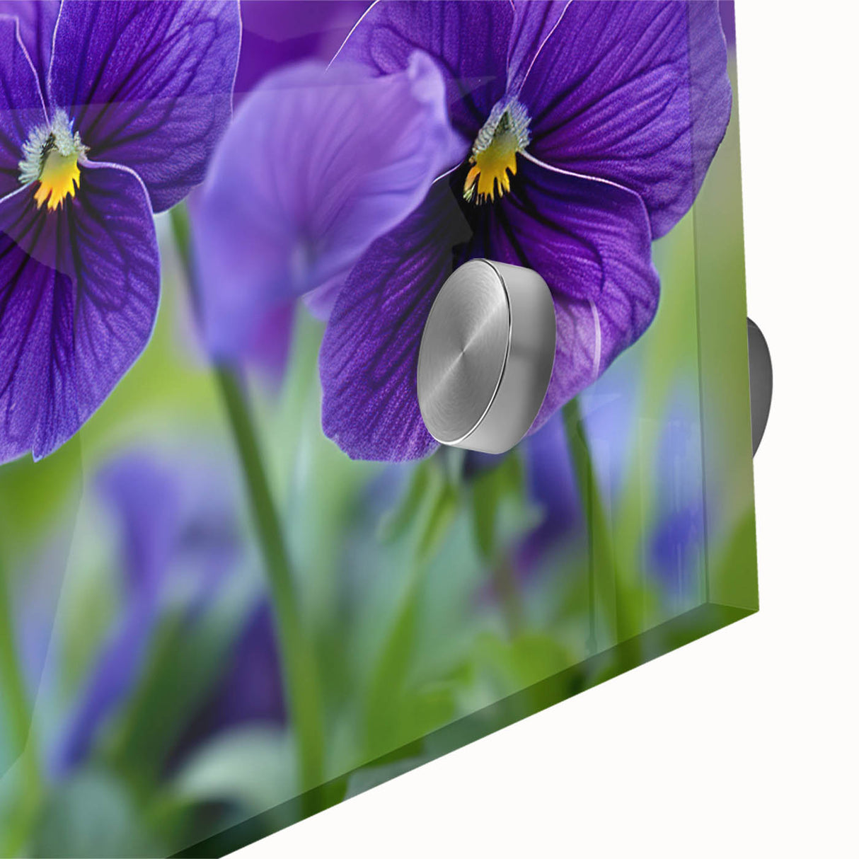 Close-up of a vibrant botanical wall art piece featuring a detailed pansy design, printed on acrylic glass, showcasing vivid colors and delicate textures. Ideal for home decor enthusiasts and floral art lovers.