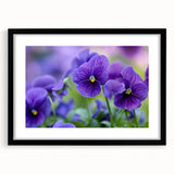 Black-framed wall art featuring a botanical pansy design, showcasing vibrant colors and intricate floral details, perfect for home decor or gifting.