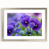 Elegant botanical wall art featuring a vibrant pansy design in a silver frame with matting, ideal for home decor and floral enthusiasts. Perfect for adding a touch of nature to your interior space.