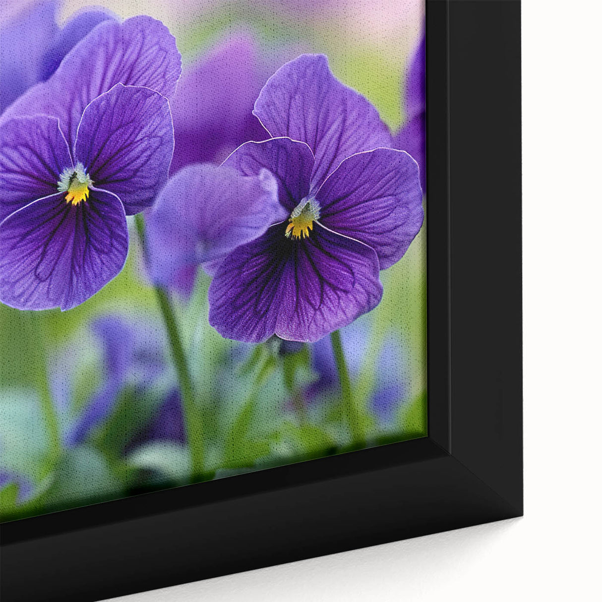 Close-up of a framed canvas wall art featuring a vibrant botanical design of pansies in various colors, showcasing intricate details and textures that enhance any decor. Perfect for flower enthusiasts and home decorators.