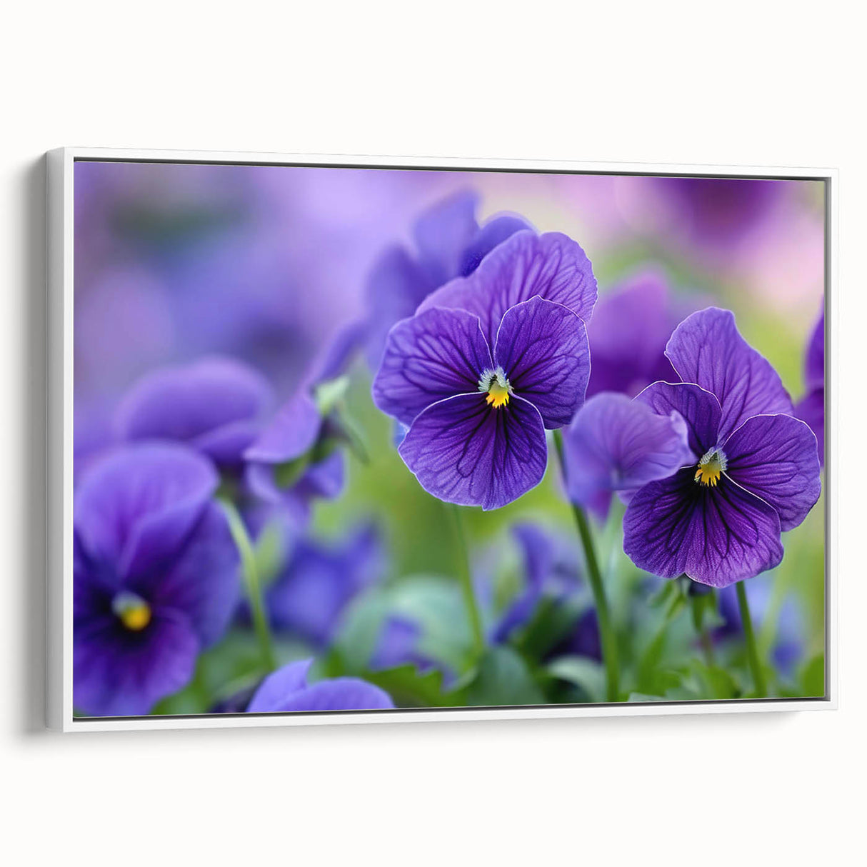 Framed canvas wall art showcasing a botanical pansy design, featuring vibrant purple and yellow flowers on a white background, ideal for home decor.