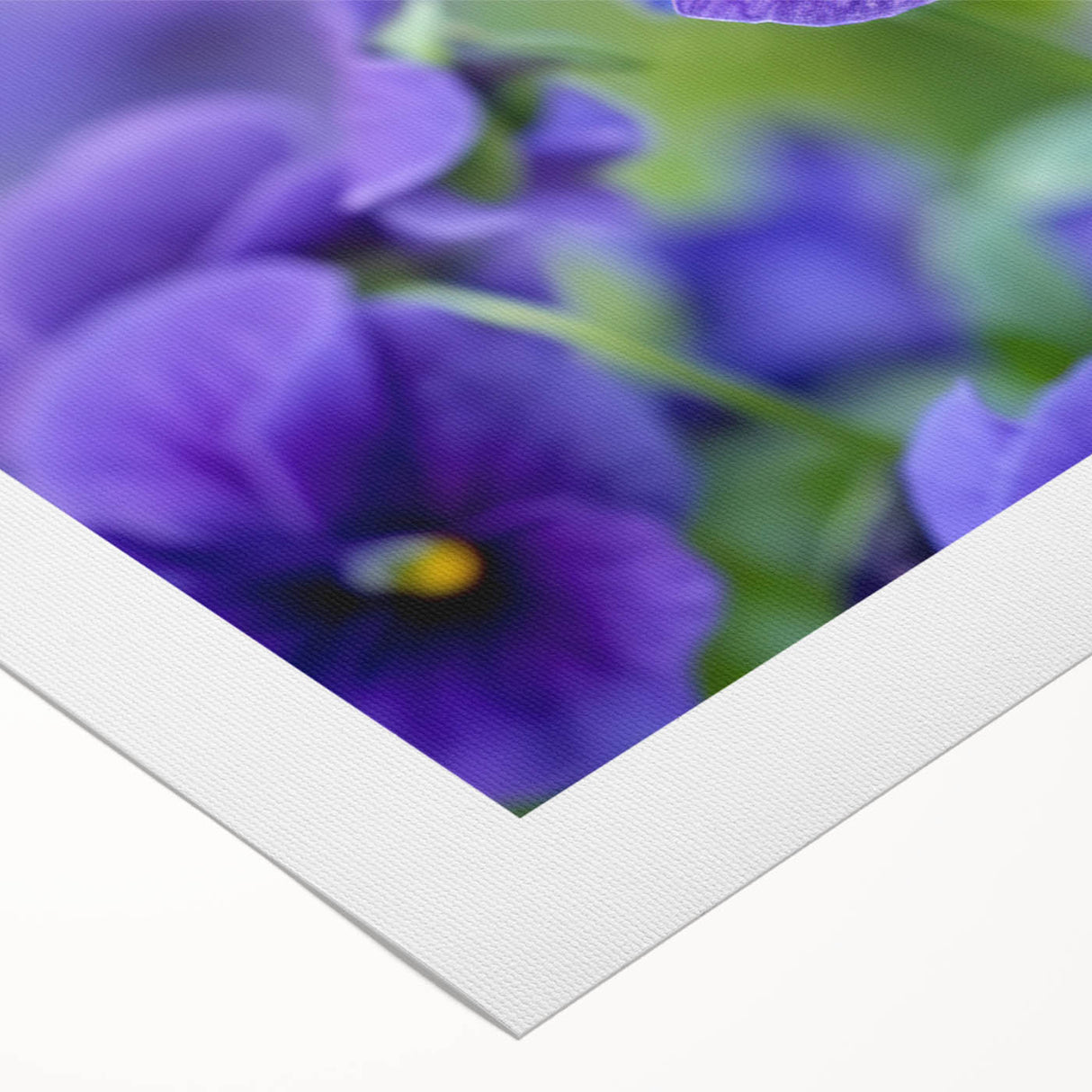 Vibrant rolled canvas artwork showcasing a botanical design of colorful pansies, perfect for home decor, featuring intricate floral details and a textured finish.