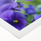 Vibrant rolled canvas artwork showcasing a botanical design of colorful pansies, perfect for home decor, featuring intricate floral details and a textured finish.