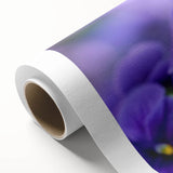 Vibrant botanical wall art featuring a detailed pansy design on rolled canvas, showcasing rich colors and intricate floral patterns, perfect for home decor.