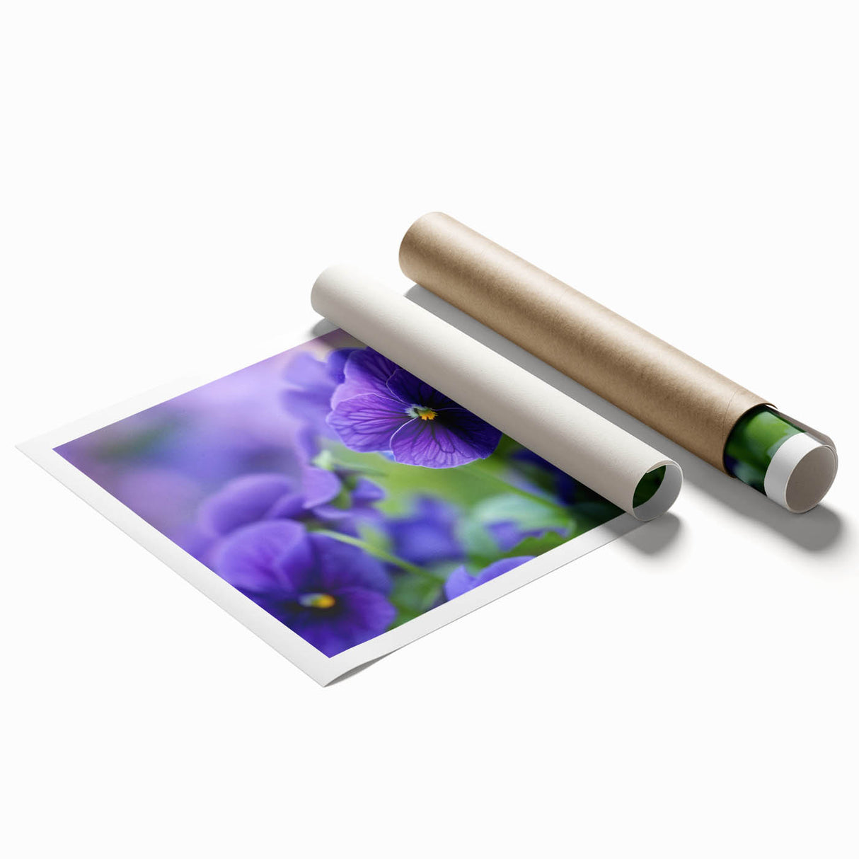 Vibrant botanical wall art print showcasing a detailed pansy design, emphasizing rich colors and intricate floral patterns, perfect for home decor and nature lovers.