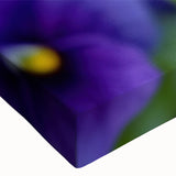 Close-up of a vibrant botanical wall art design featuring colorful pansies on stretched canvas, showcasing intricate details and textures ideal for home decor.