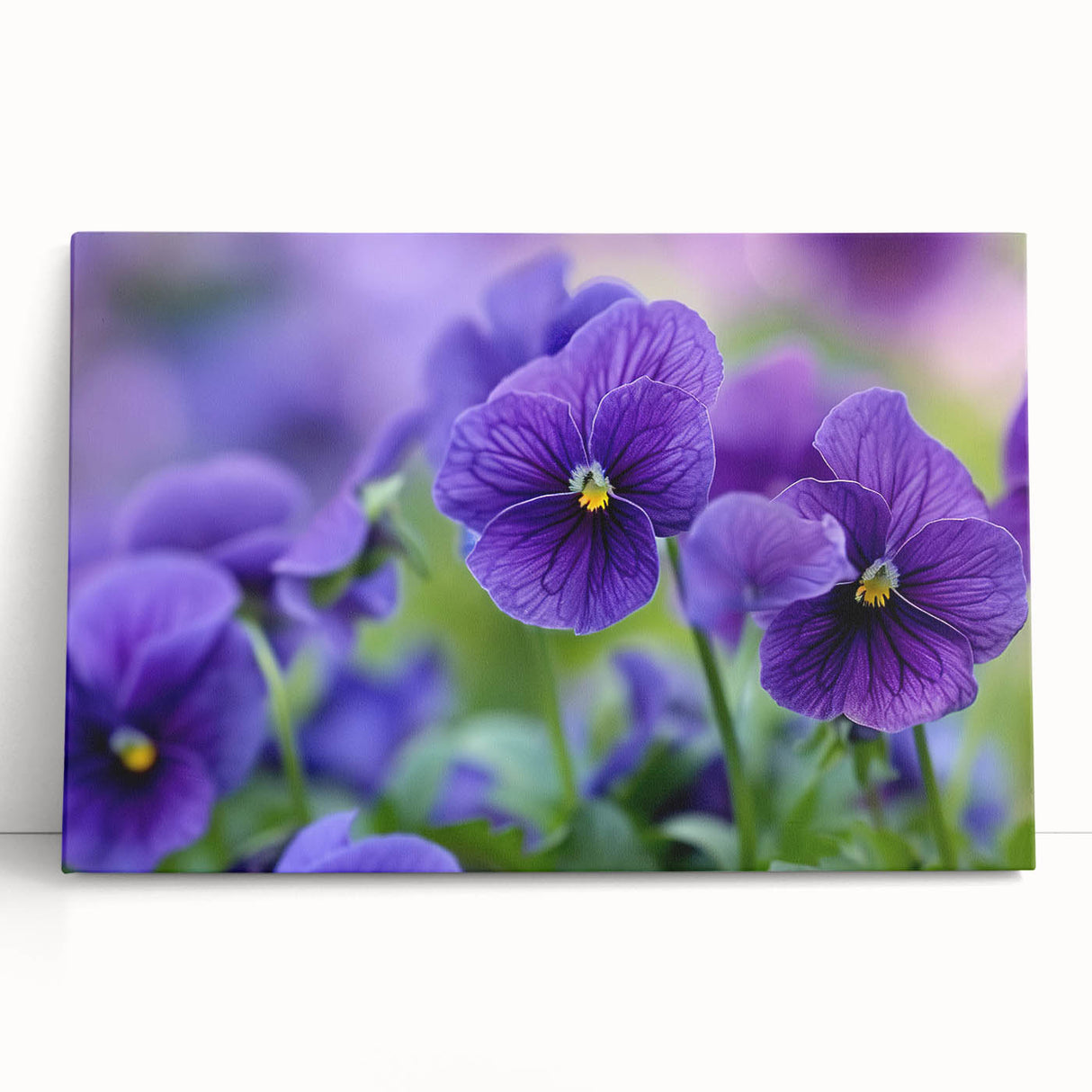 Botanical wall art featuring a vibrant pansy design printed on stretched canvas, showcasing rich colors and intricate floral details, perfect for home decor.