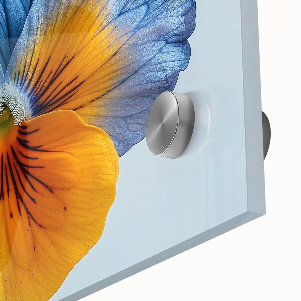 Close-up view of a botanical wall art piece featuring vibrant pansies in various shades of purple and yellow, displayed under acrylic glass for a modern finish. The intricate details highlight the delicate petals and rich colors, perfectly suited for floral decor enthusiasts.