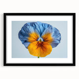 Botanical wall art collection showcasing a vibrant pansy design in a sleek black frame with matting, perfect for home decor and floral enthusiasts.