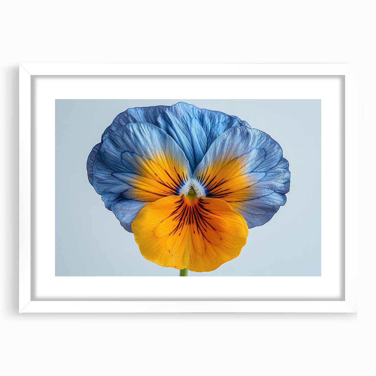 Elegant botanical wall art featuring a beautifully framed pansy design in soft pastel colors, complete with a white mat. Perfect for enhancing home decor.