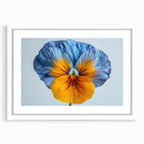 Elegant botanical wall art featuring a beautifully framed pansy design in soft pastel colors, complete with a white mat. Perfect for enhancing home decor.
