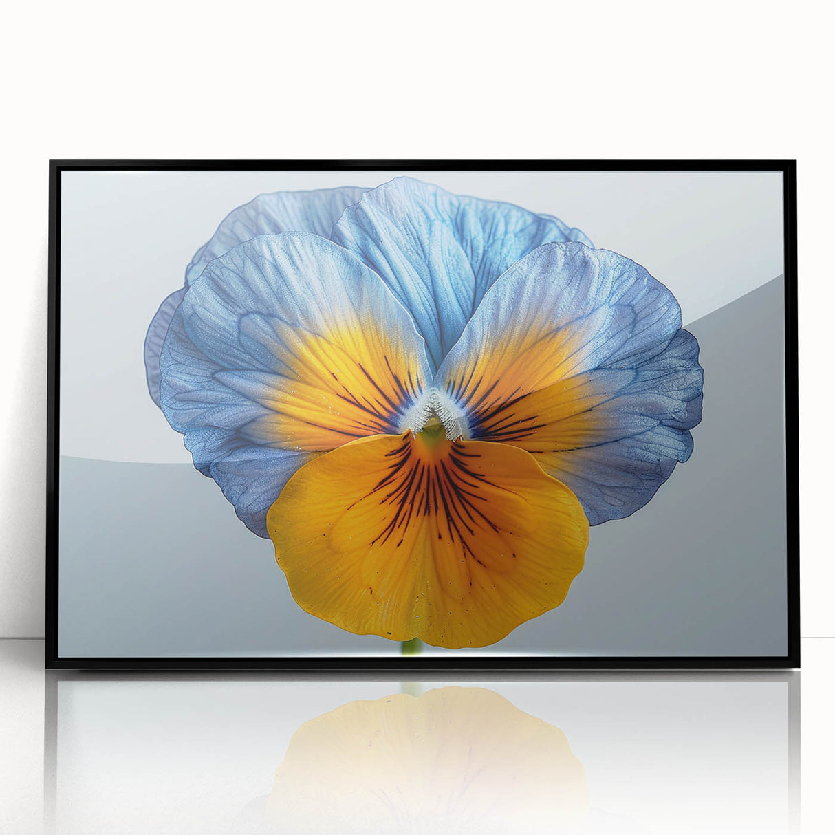 Framed botanical wall art featuring a vibrant pansy design in rich colors, presented in a sleek black frame, ideal for home decor enthusiasts.