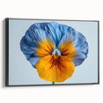 Framed botanical wall art featuring a vibrant pansy design on a black canvas, presented from a side view, perfect for home decor with a modern touch.