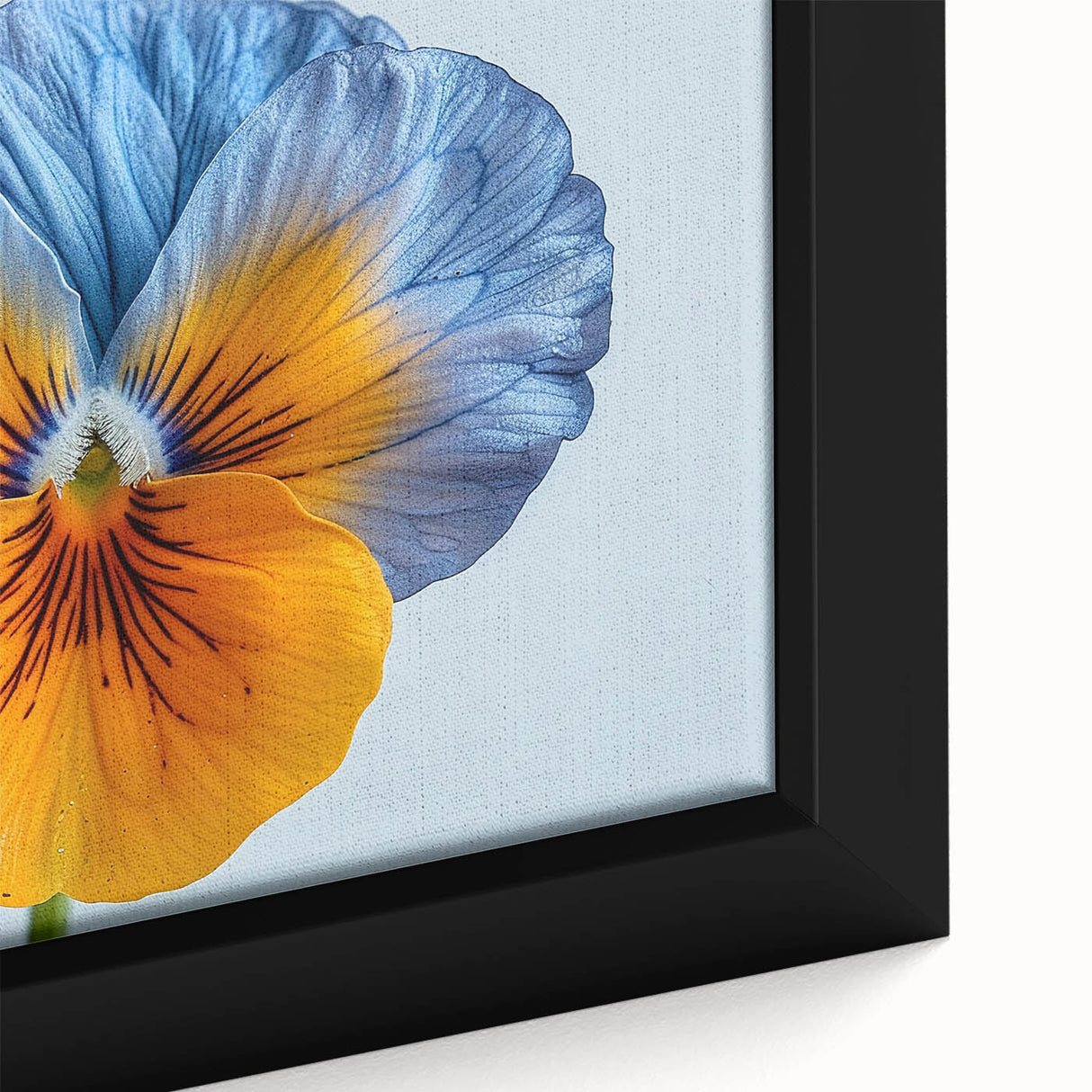 Close-up of a framed botanical wall art piece showcasing vibrant pansy flowers in rich purples and yellows, ideal for home decor enthusiasts seeking floral aesthetics.
