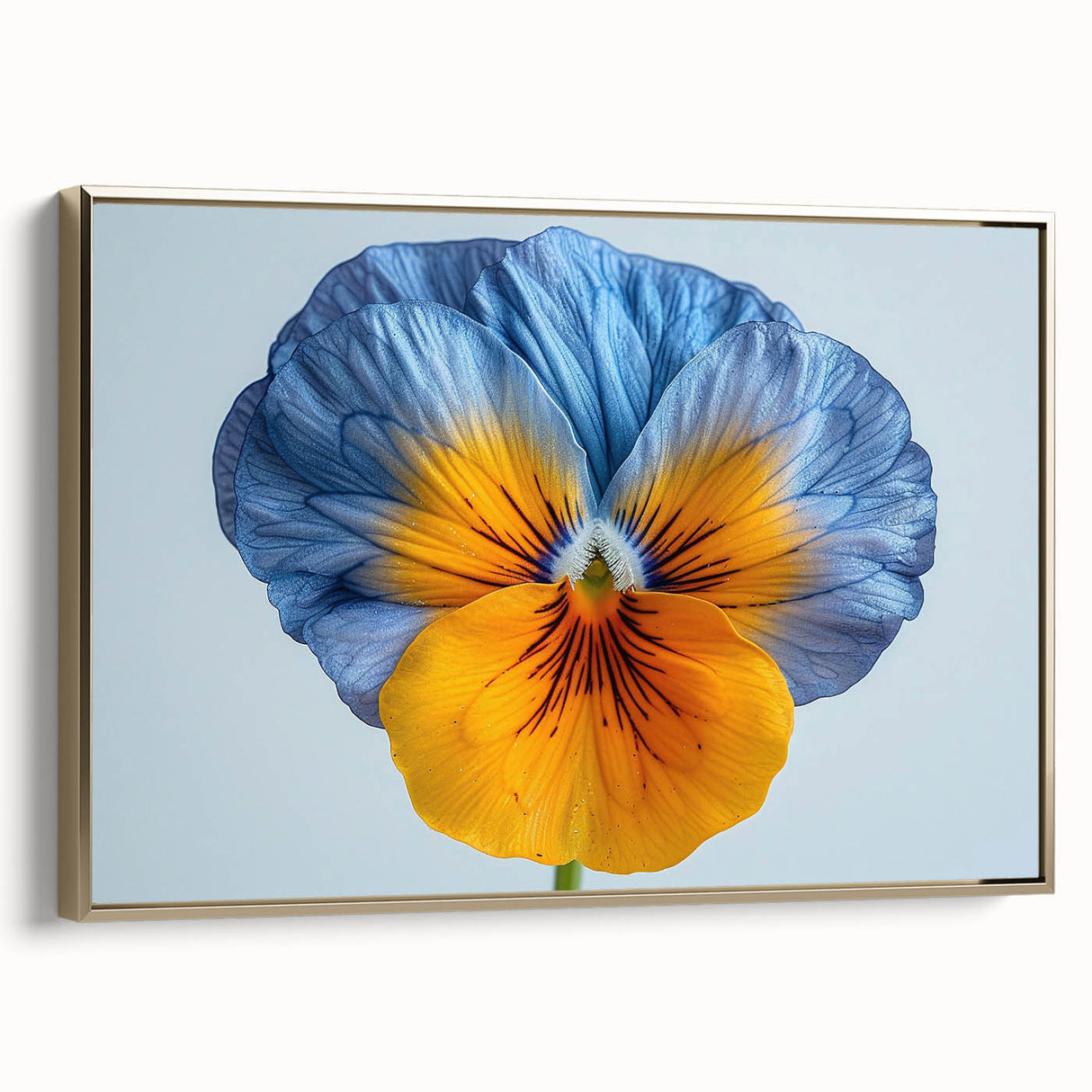Framed botanical wall art featuring a vibrant pansy design in gold accents, showcasing a side view with intricate details and textures, perfect for home decor.