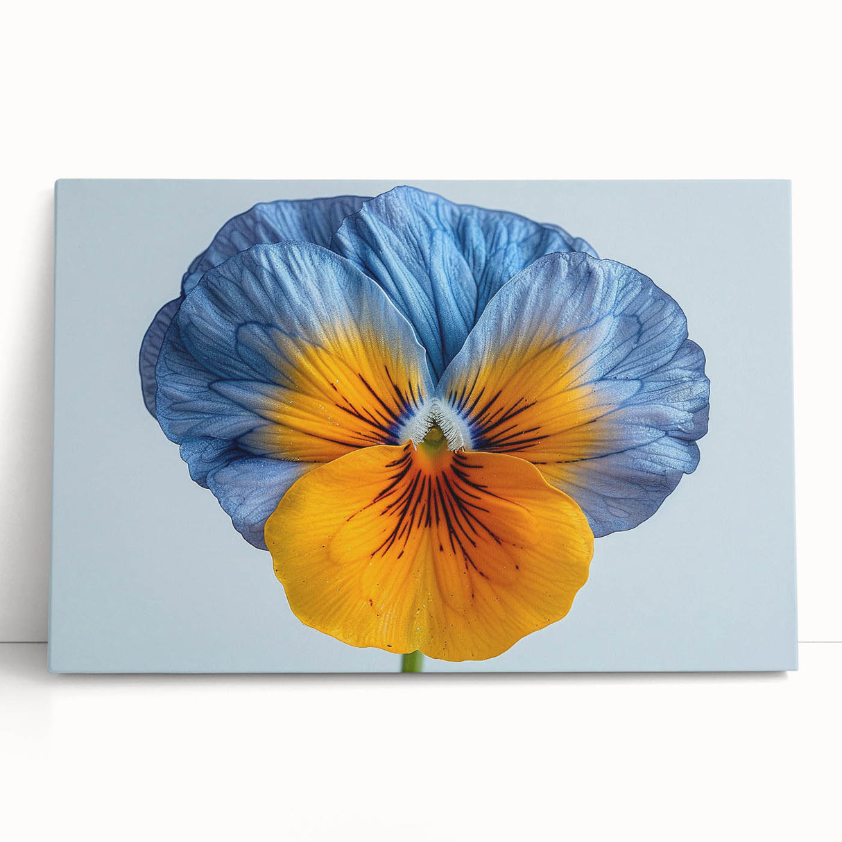 Botanical wall art featuring a vibrant pansy design on stretched canvas, showcasing rich purple and yellow hues, perfect for home decor or gallery displays.