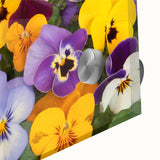 Close-up of a vibrant botanical wall art design featuring colorful pansies, beautifully displayed on acrylic glass, perfect for home decor enthusiasts.