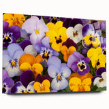 Side view of a botanical wall art collection featuring vibrant pansy designs printed on acrylic glass, showcasing vivid colors and intricate floral details. Ideal for home decor.