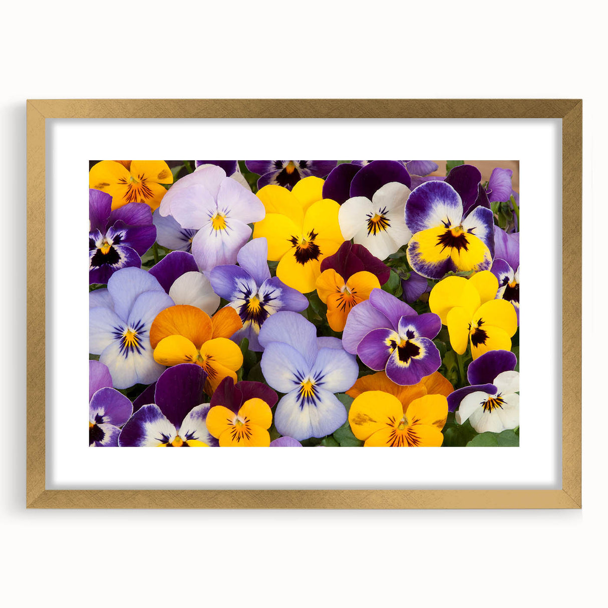 Elegant botanical wall art collection featuring a gold-framed pansy design with a white mat, perfect for adding sophistication to home decor.