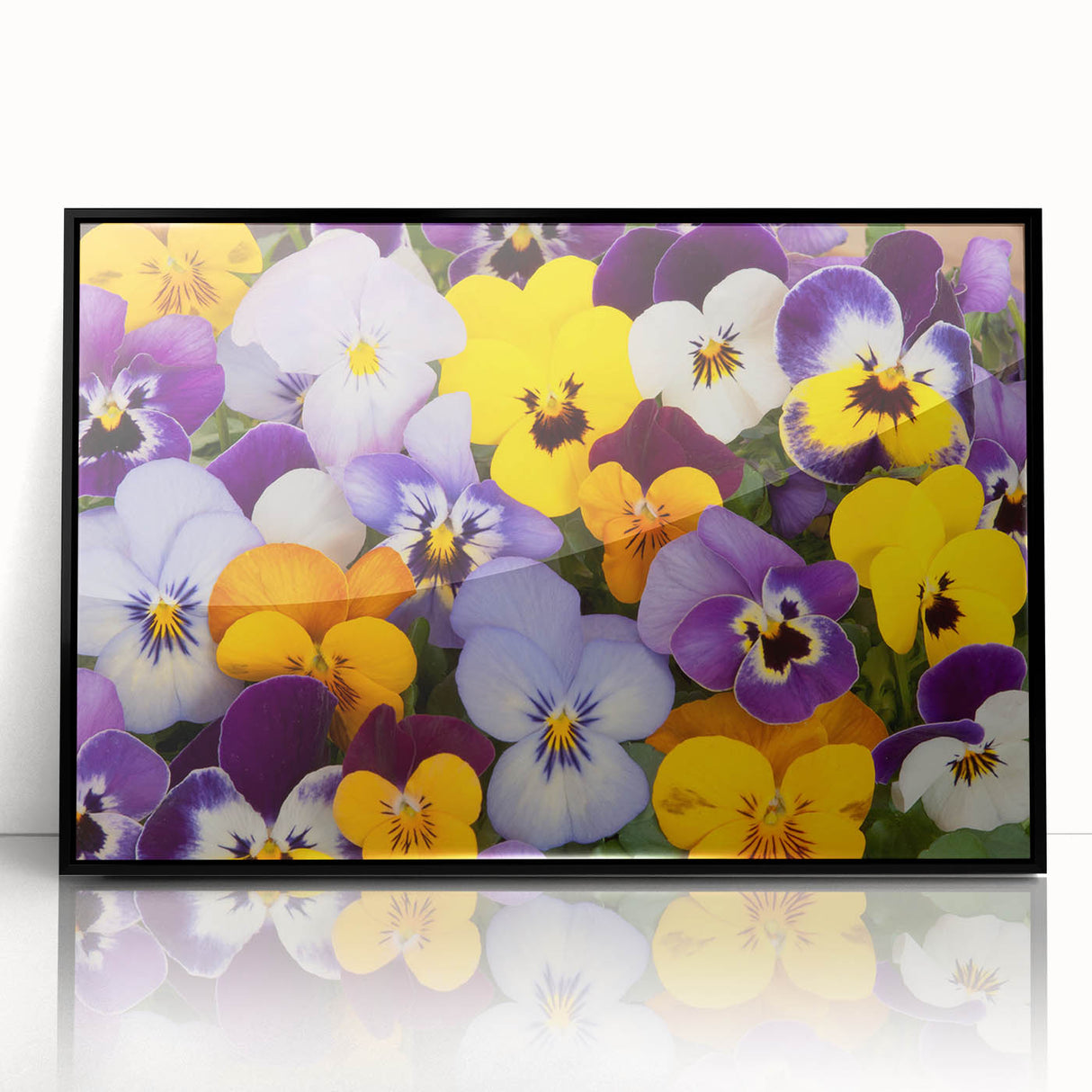 Framed wall art showcasing a botanical pansy design in vibrant colors, set against a sleek black frame, perfect for enhancing home decor and floral-themed spaces.