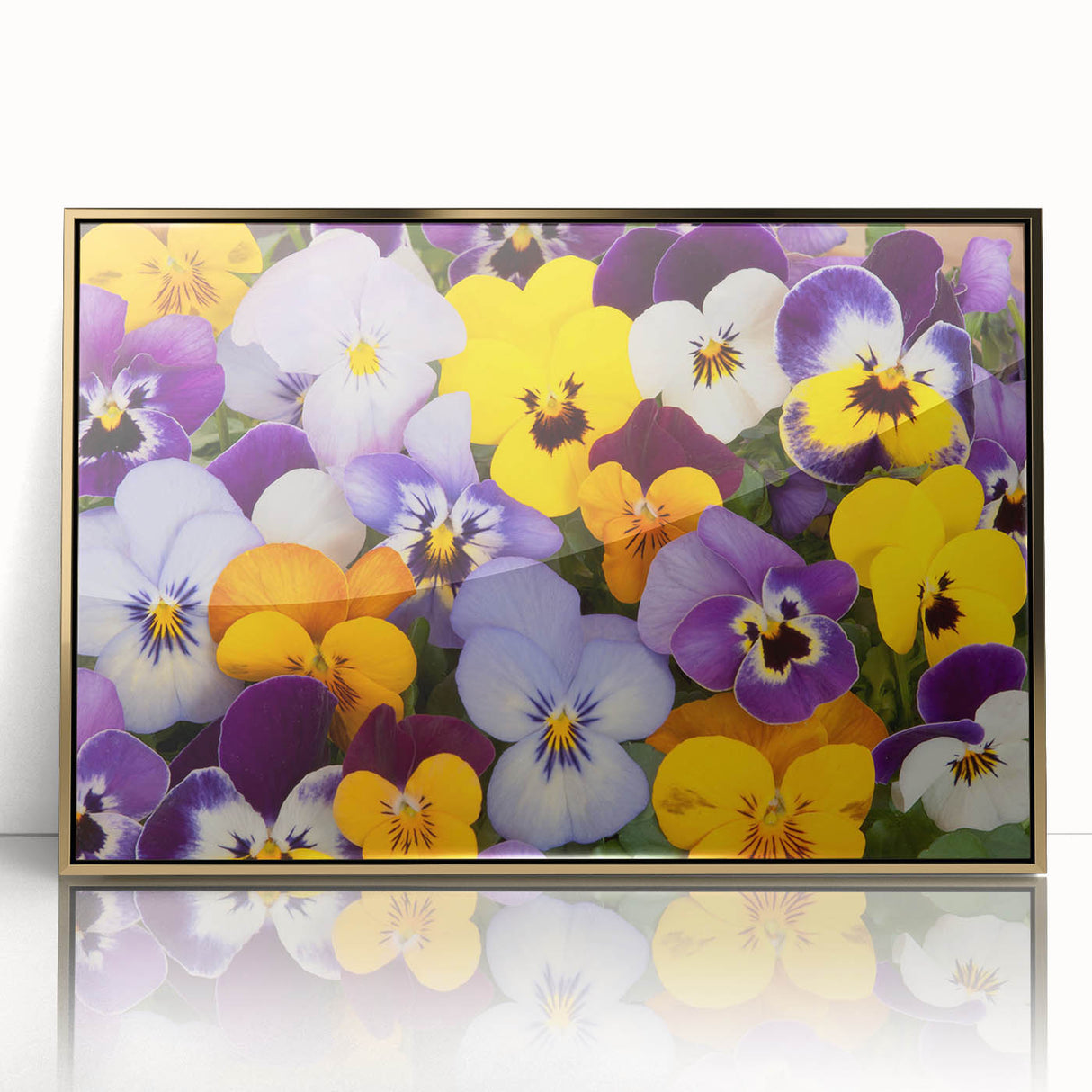 Framed wall art showcasing a vibrant botanical pansy design with gold accents, perfect for adding a touch of elegance to home decor. This high-quality acrylic print enhances any interior space with its colorful floral aesthetic.