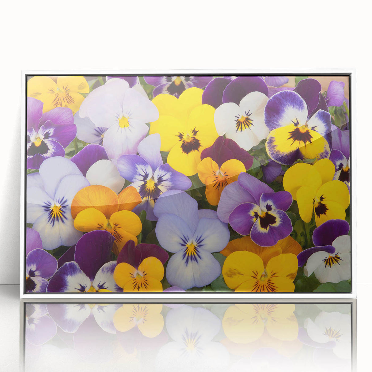 Framed botanical wall art featuring a vibrant pansy design, displayed in a sleek white frame, ideal for adding color and elegance to home decor.