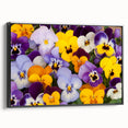 Framed botanical wall art featuring a vibrant pansy design on a black background, showcasing intricate floral details and a modern aesthetic suitable for home decor.