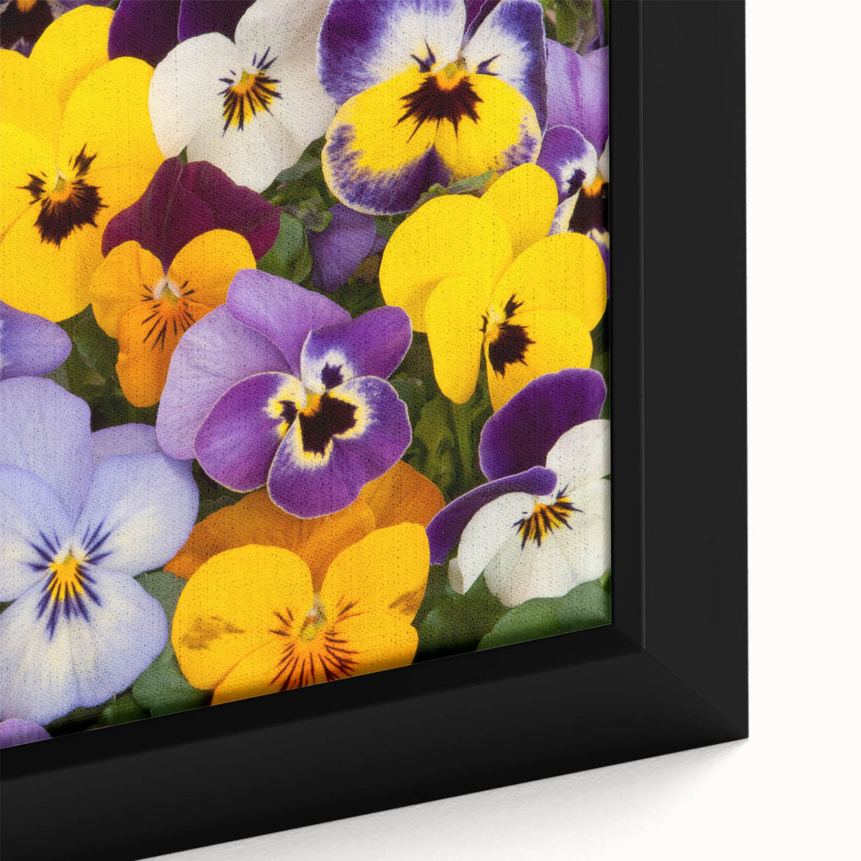 Close-up of a framed botanical wall art piece featuring vibrant pansy flowers in rich colors. Perfect for enhancing home decor with nature-inspired elegance.